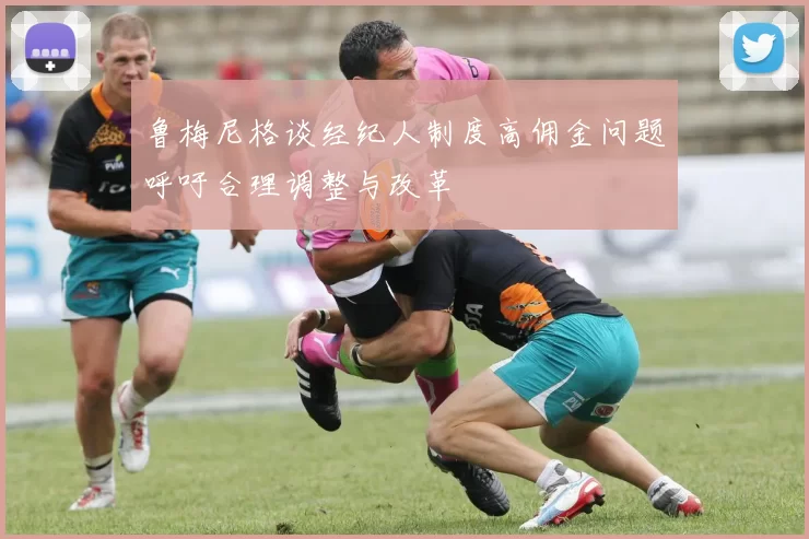 鲁梅尼格谈经纪人制度高佣金问题呼吁合理调整与改革